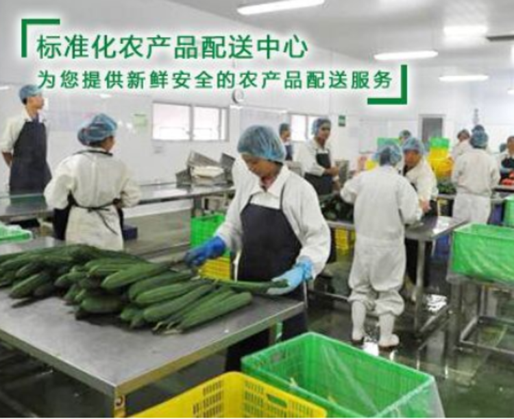 珠三角食堂承包